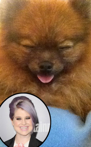 Story, Kelly Osbourne Story, Kelly Osbourne